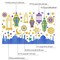 Ramadan Mubarak Window Clings Eid Mubarak Window Stickers Party Supplies Decorations Muslim Happiness Ramadan Eid al-Fitr Decor Kareem Cut-Out Decals